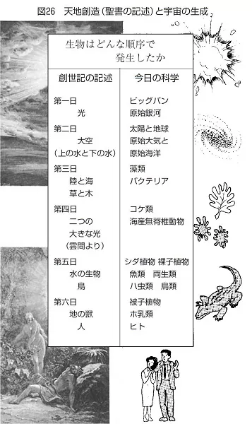 進化論から新創造論へ: ダ-ウィニズムの誤りと統一思想からの